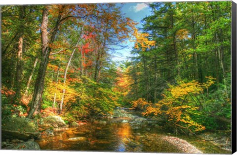 Framed Autumn Brook Print