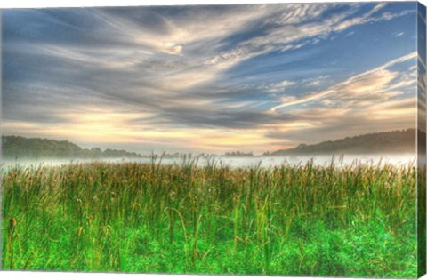 Framed Cattails And Sky Print