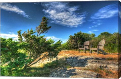 Framed Chairs And Windblown Tree Print
