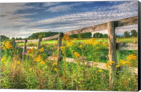 Framed Denniston Lane Fence Print