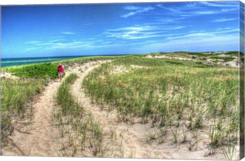 Framed Dune Walker Print