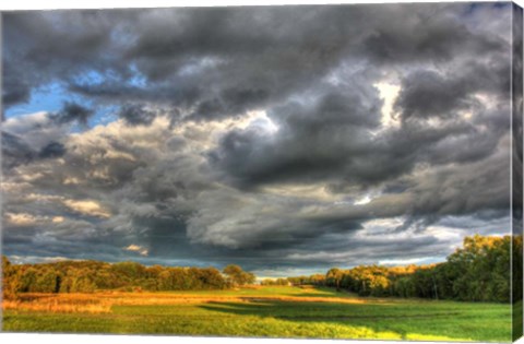 Framed Front Forty Print