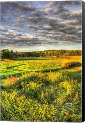 Framed Garden Views Print