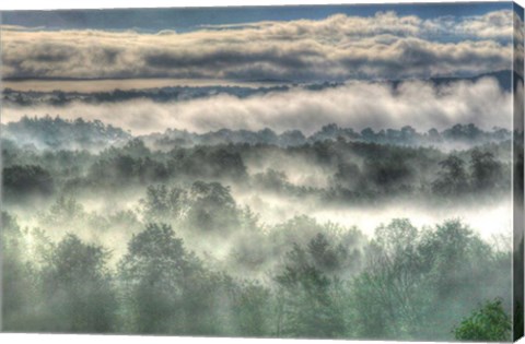 Framed Gray Mist Print