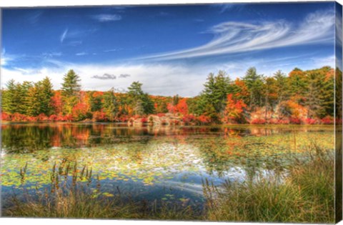 Framed Harriman Pond Print