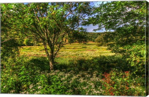 Framed Hobart Meadow Print