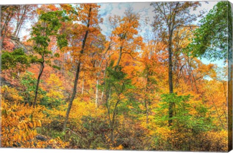 Framed Inwood Park Horizontal Print