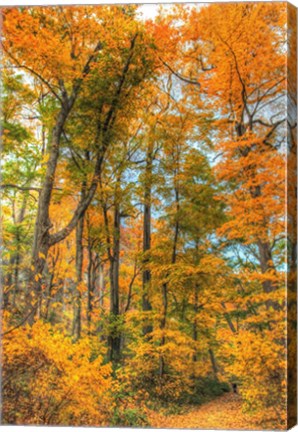 Framed Inwood Park Vertical Print