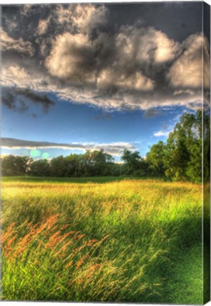 Framed Late Afternoon Field Print