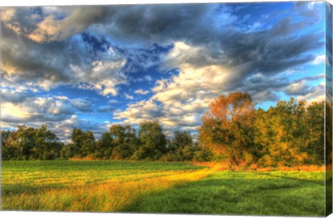 Framed Late Summer Light Print