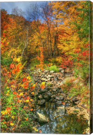 Framed Low Water Brook Autumn Print