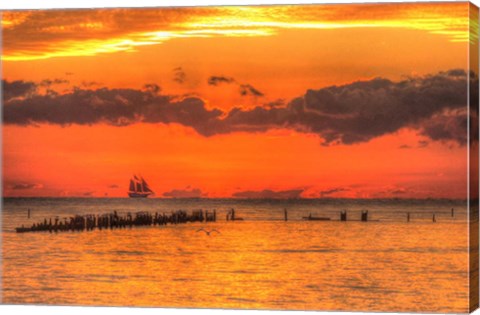 Framed Old Pier And Gull After Sunset Print