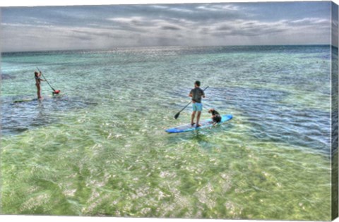 Framed Paddle Board Pups Print