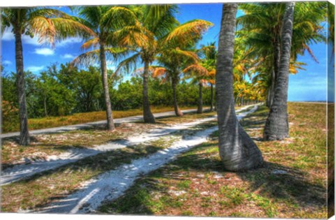 Framed Palm Road Print