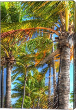Framed Palms Vertical Print