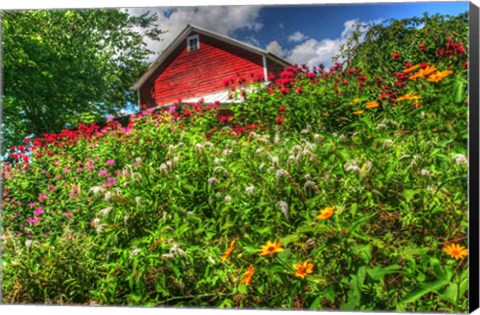 Framed Red Barn And Flowers Print