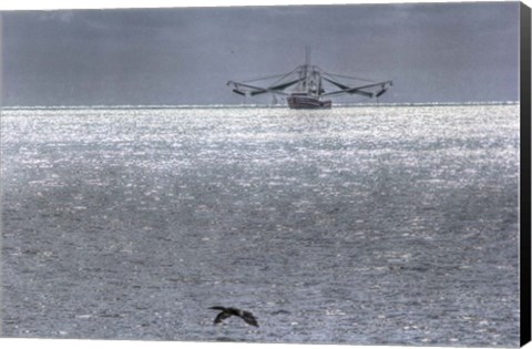 Framed Shrimper And Cormarant Print