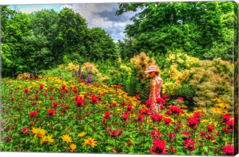 Framed Summer Garden Print