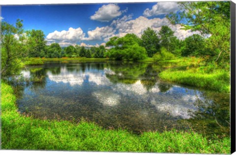 Framed Summer Pond Print
