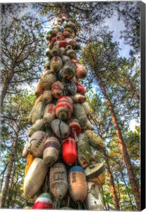 Framed Tree Buoys Print
