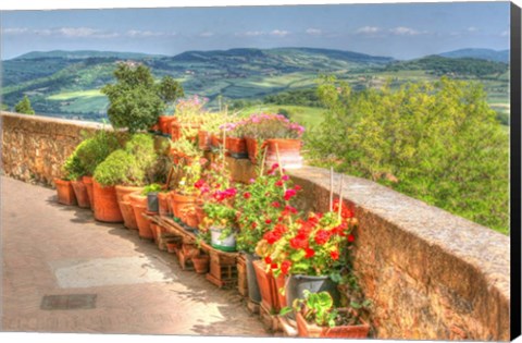 Framed Tuscan Garden View Print