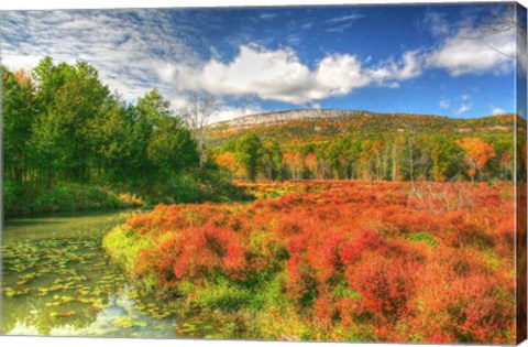 Framed Whitecliffs Print