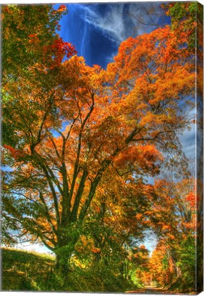 Framed Autumn Borden Road Vertical Print