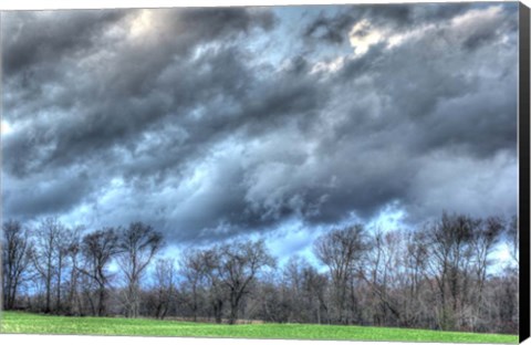 Framed Back 20 1 Print