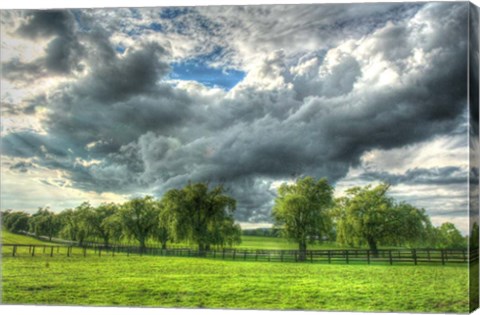 Framed Back 20 Clouds Sweep Print