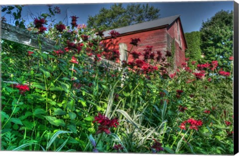 Framed Barn And Minarda 3 Print