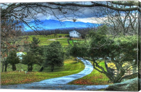 Framed BC Driveway View Print