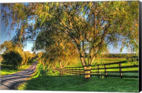 Framed BC Willow Road Print