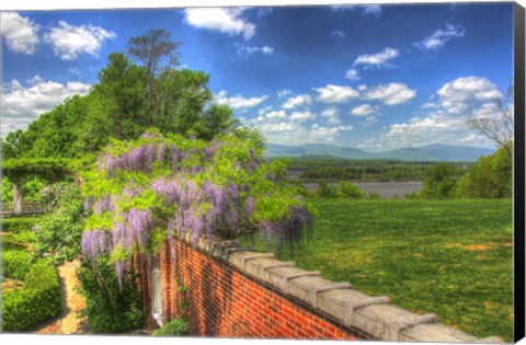 Framed Blithwood 3 Print