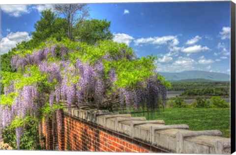 Framed Blithwood 4 Print