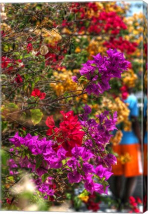 Framed Bougenvillia Vertical Print