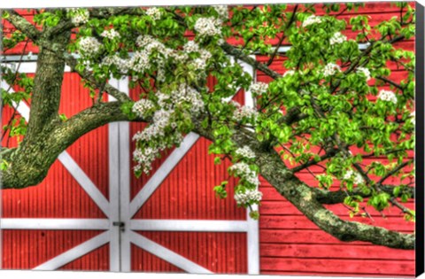 Framed Butterville Barn Print