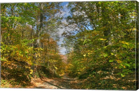 Framed Dirt Road Passage Print
