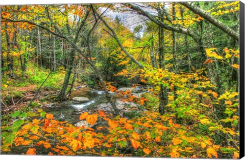 Framed Fall Brook Orange Fo Print