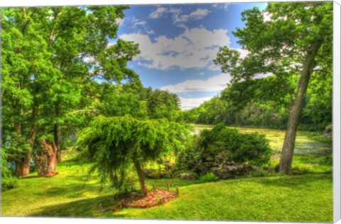 Framed Formal Garden Trees Print