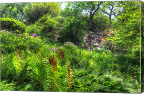 Framed Garden Hillside Print