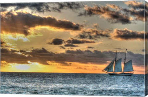 Framed Key West Clipper Sunset I Print