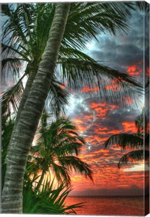 Framed Key West Palm Sunrise Vertical Print