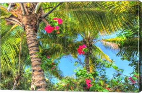 Framed Key West Pink Flowers Palm Print