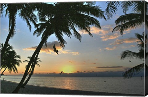 Framed Key West Sunrise VII Print