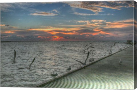 Framed Key West Sunrise Gulls and Pier Print