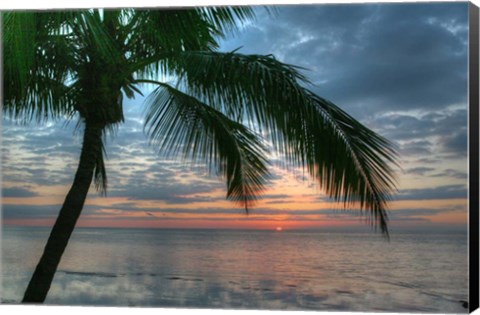 Framed Key West Sunrise One Palm Print
