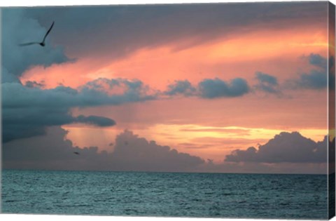 Framed Key West Sunset IV Print