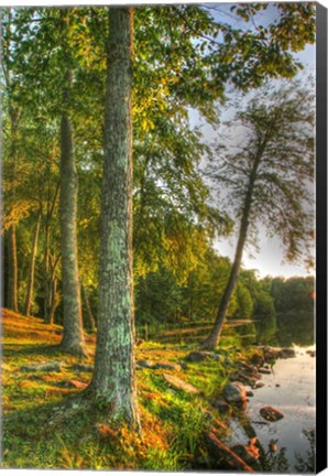 Framed Lakeside Vertical Print