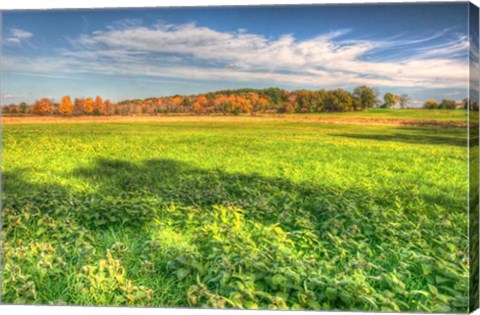 Framed Meadow Early Autumn Print