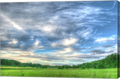Framed Meadow Midday Print